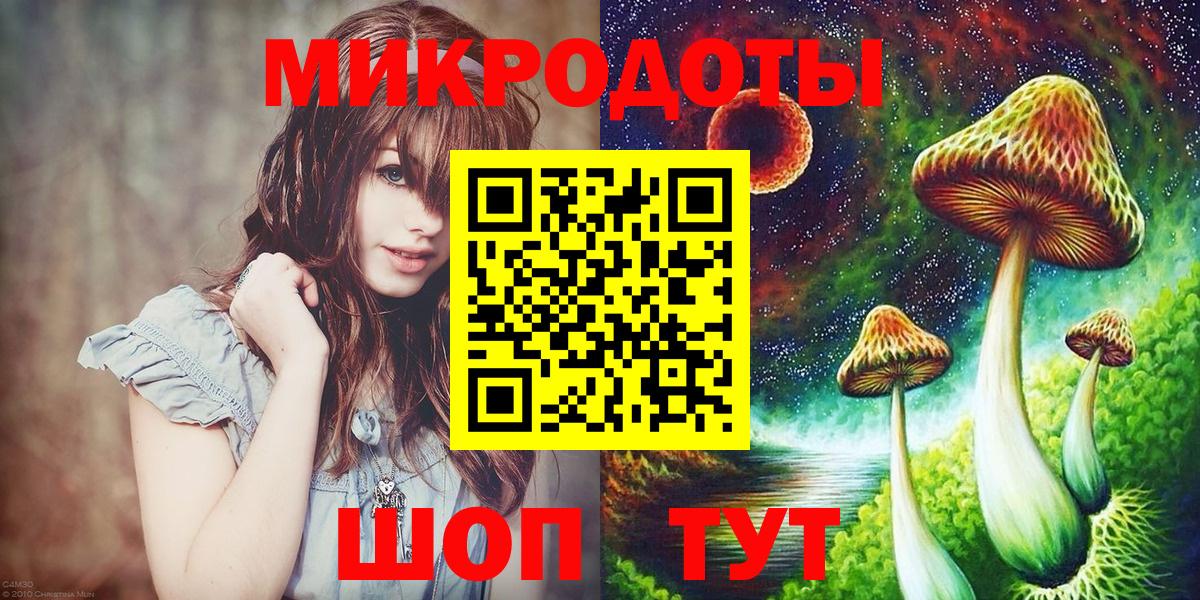 Ессентуки  Псилоцибиновые грибы Psilocybine cubensis  Вход с VPN 