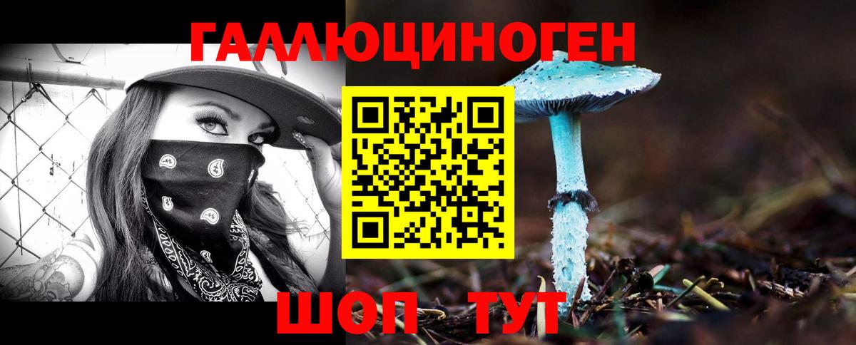 Псилоцибиновые грибы MAGIC MUSHROOMS Ессентуки